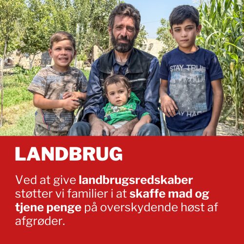 Landbrug: Ved at give landbrugsredskaber støtter vi familier i at skaffe mad og tjene penge på overskydende høst af afgrøder.