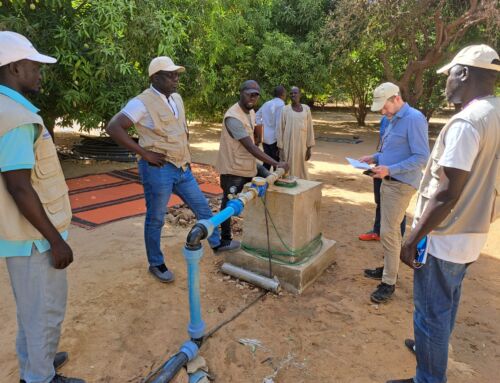 Livsvigtigt vand i Tchad