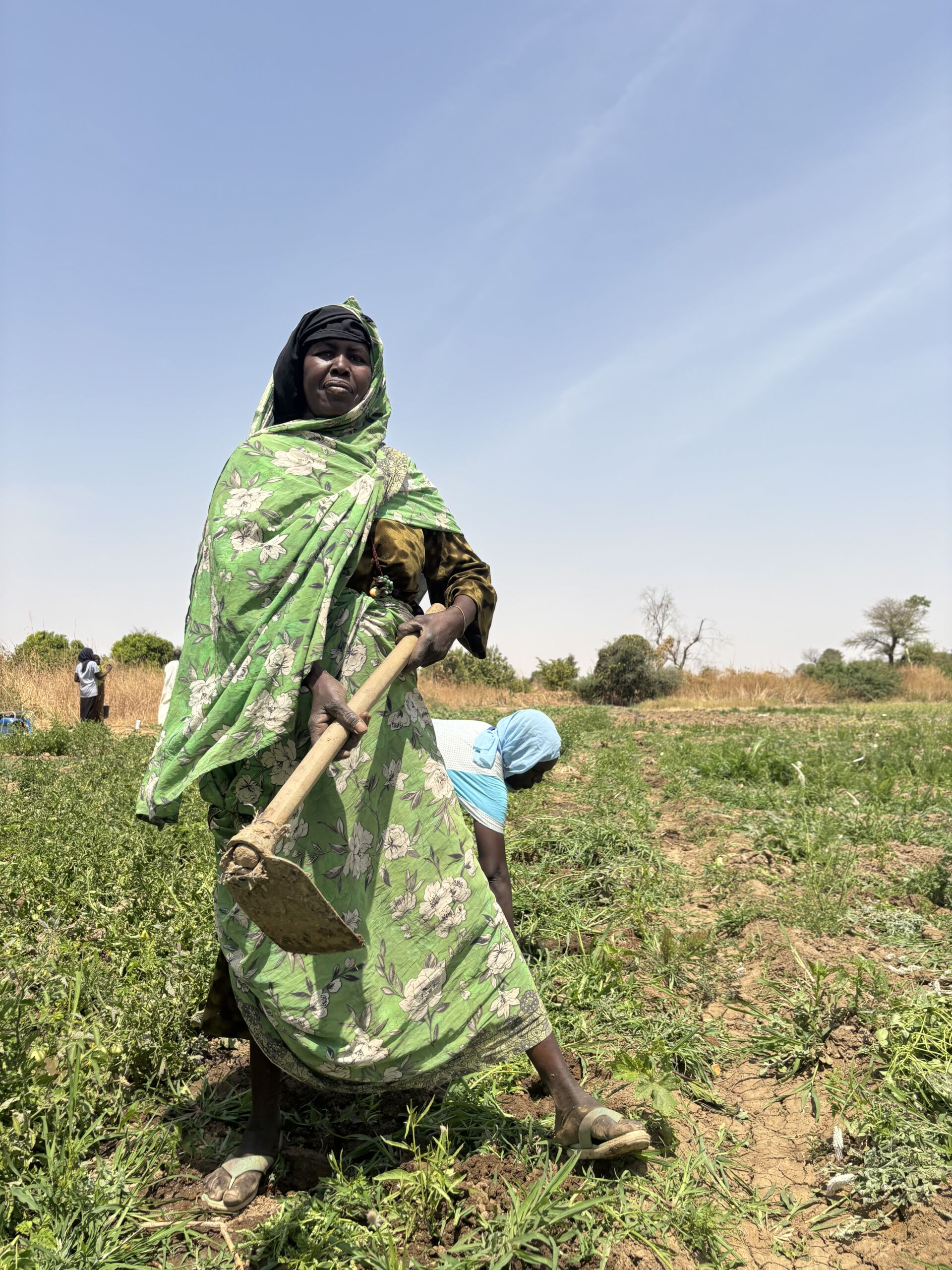 Mission East og vores lokale partner har uddelt værktøjer til familierne i Dougui-lejren, så de kan passe på deres afgrøder. På billedet står en kvinde med et af værktøjerne i hånden. Hun har netop hakket afgrøder op af jorden, som skal bruges til aftensmaden senere.