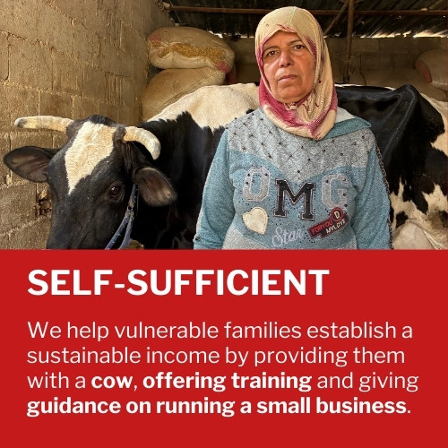 3 Selvforsørgelse: Vi hjælper udsatte familier med at skabe en holdbar indkomst ved at give dem en ko, jobfærdigheder, erhvervslån og/eller rådgivning om at drive forretning.