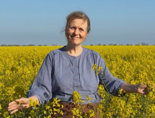 Travel report from visit to Ukraine: “My old self is lost forever”